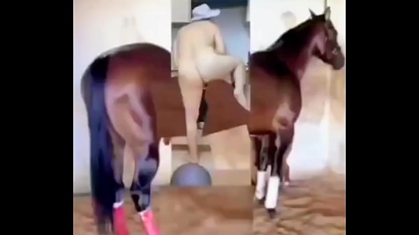 Meztelen lány megpróbál felmászni a lovára