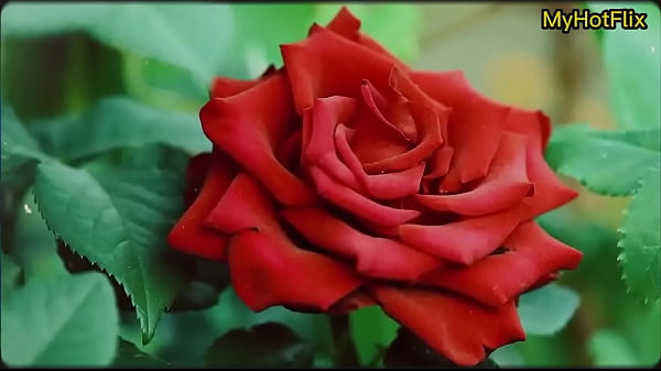 Story of fucking with cousin. Thumbnail