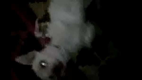Vídeo