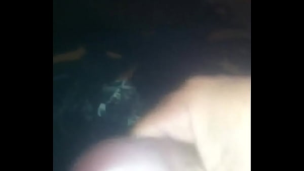 Vídeo