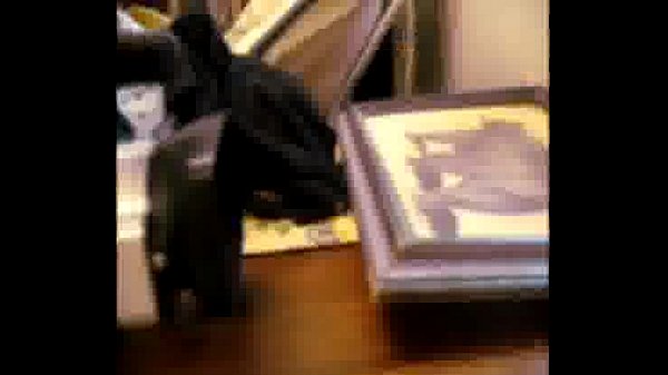 動画
