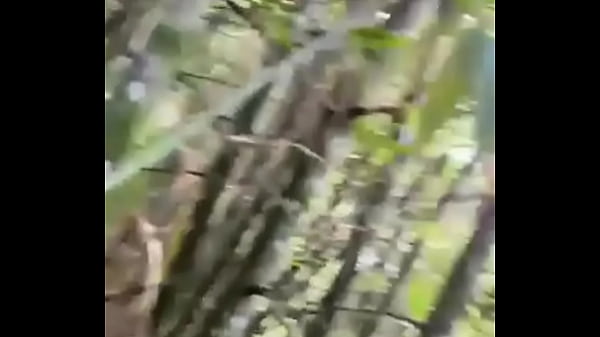 Vídeo
