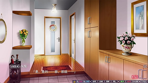 Akari 17