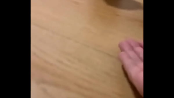 funny cat No.2 Thumbnail