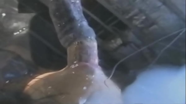 Furcsa, kígyószerű lényeg elégítették ki a japán tini lányt