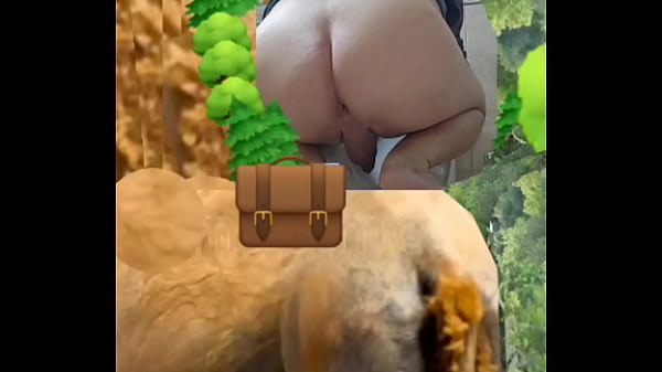 Vídeo