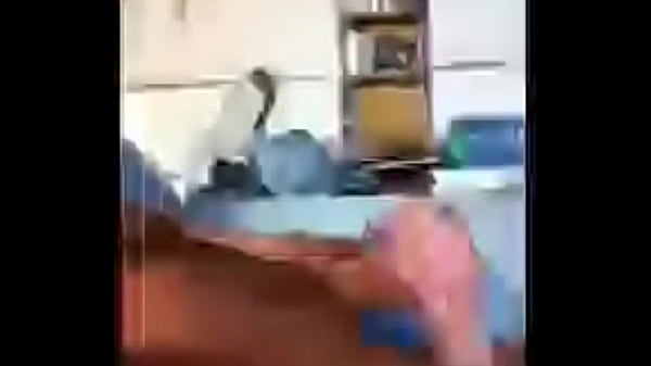 Vídeo