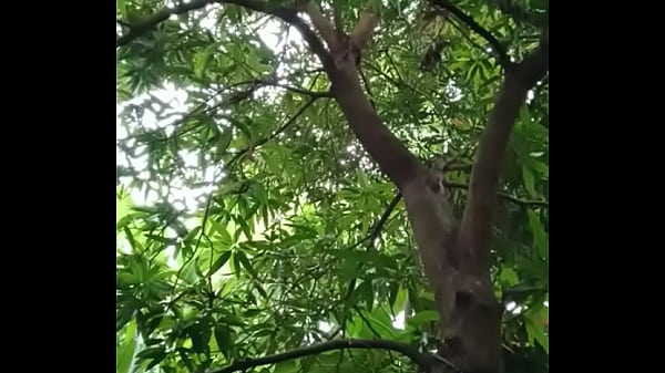 My small toy Thumbnail