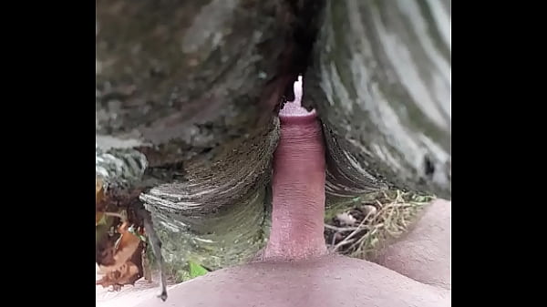 jerk off with a tree Thumbnail