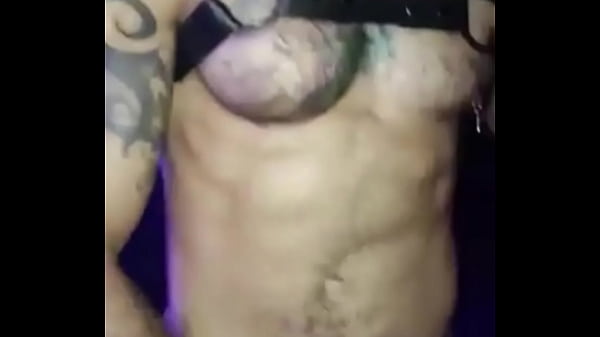 A farkas órája - interaktív vadászat