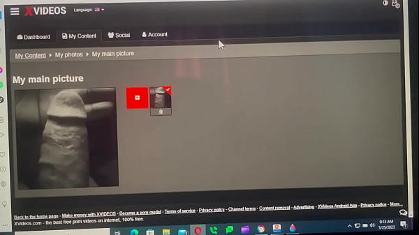 動画