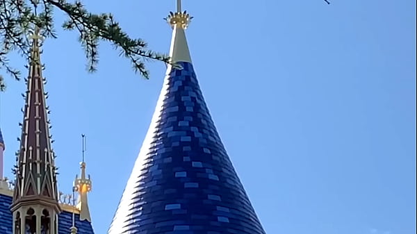 Cheetah Adora no Parque Temático Disney