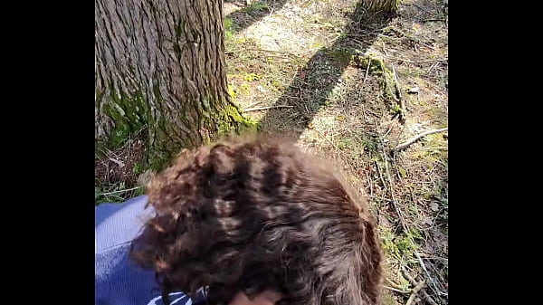 Navegando em busca de uma pica na floresta POV