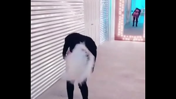 Dancing dime Thumbnail