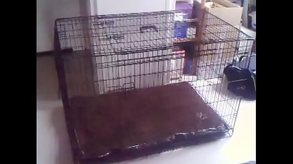 Vidéo