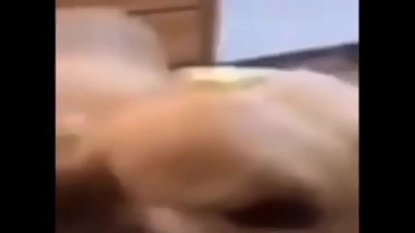 Roblox porn be like: really it so hot Thumbnail