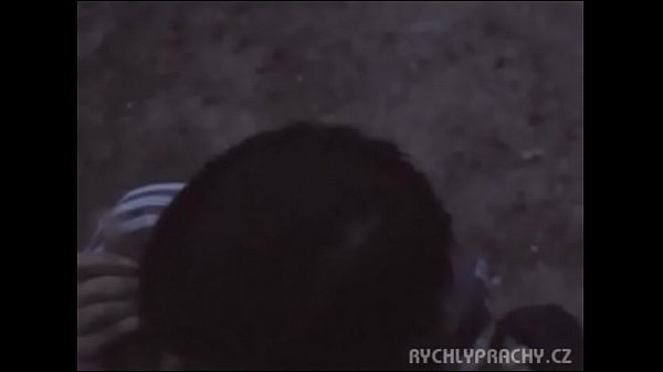 Quick money 29 Nikola