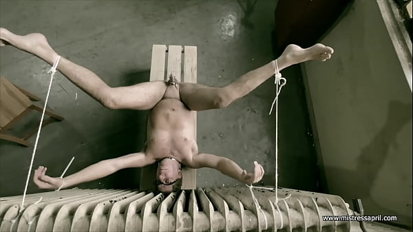 Dominatrix Mistress April - Porcupine cock