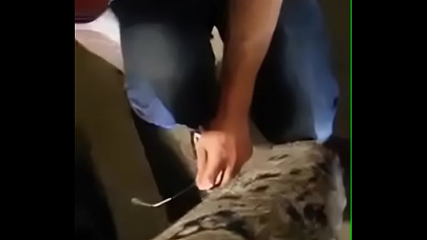 مستريس عربيه تقوم بذل كلبها وخادمها وتشتمه وتسبه في مكان عام الجزء التاني