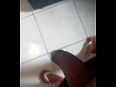  - Pauzao preto