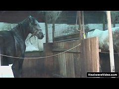  - Pervert granny gets banged by a much y. man right in the middle of the backyard