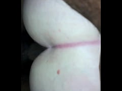  - My wife looking for black bulls