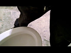  - JACKING OFF IN THE BATHROOM AT WORK