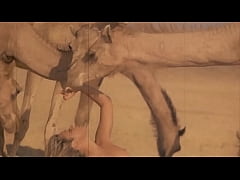  - Dark Lantern Entertainment presents 'Beauty And The Beast'